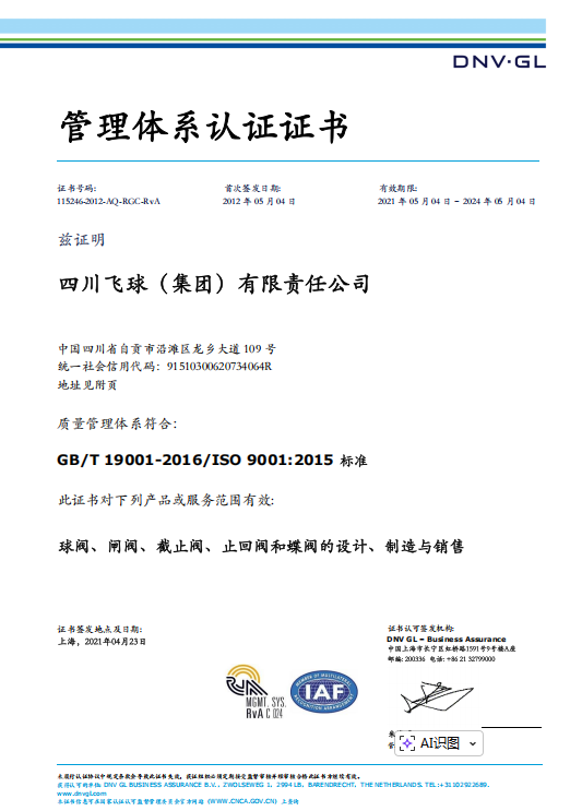 飛球-DNV認(rèn)證-ISO9001證書(shū)